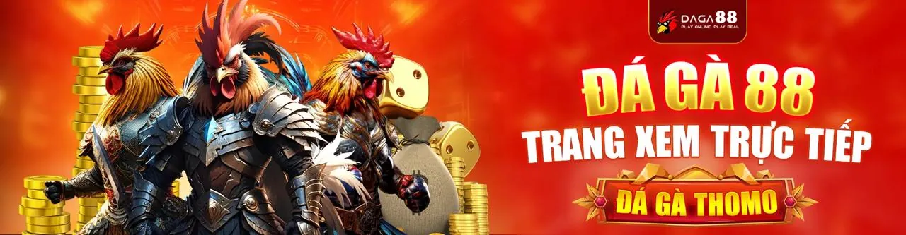 Hình ảnh đá gà trực tuyến TL88